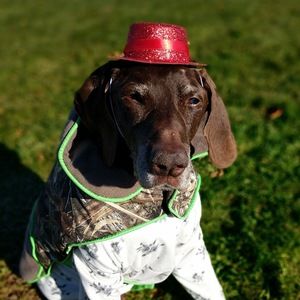 Meet your Posher, Missy